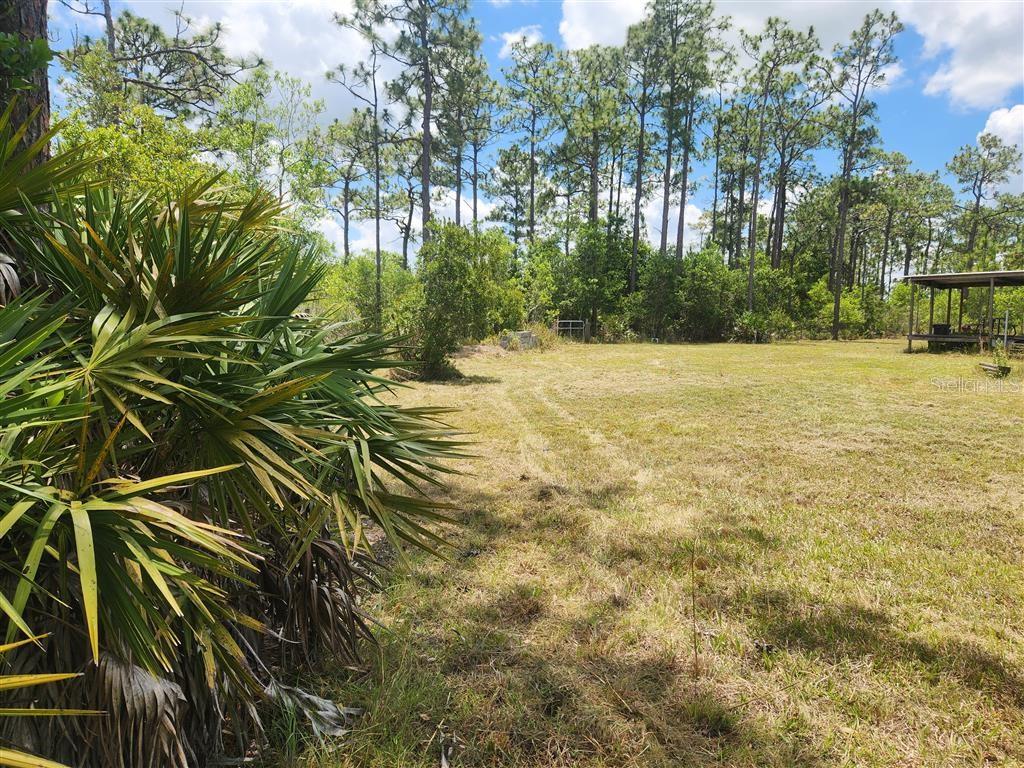 Holopaw Groves Rd Property Photo 7