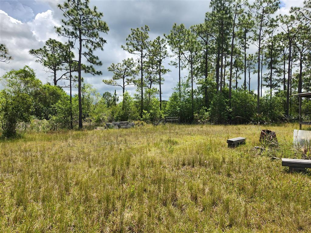 Holopaw Groves Rd Property Photo 23