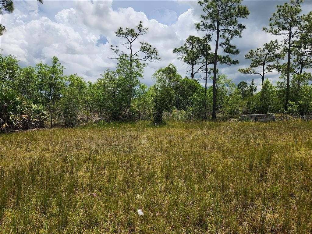 Holopaw Groves Rd Property Photo 24