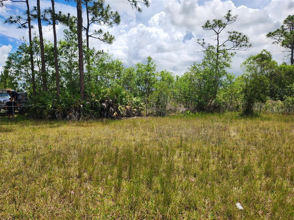 Holopaw Groves Rd Property Photo 25