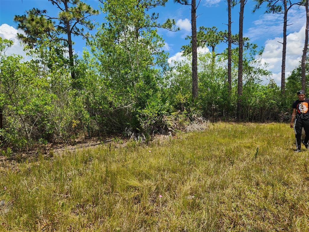Holopaw Groves Rd Property Photo 26