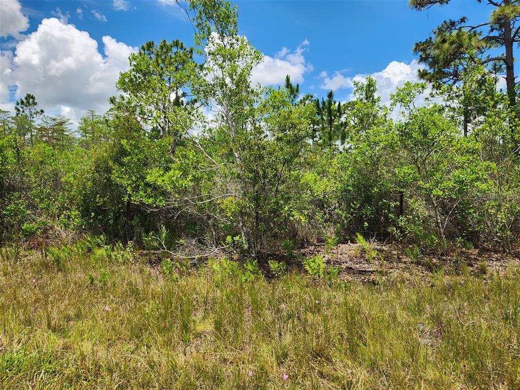 Holopaw Groves Rd Property Photo 27