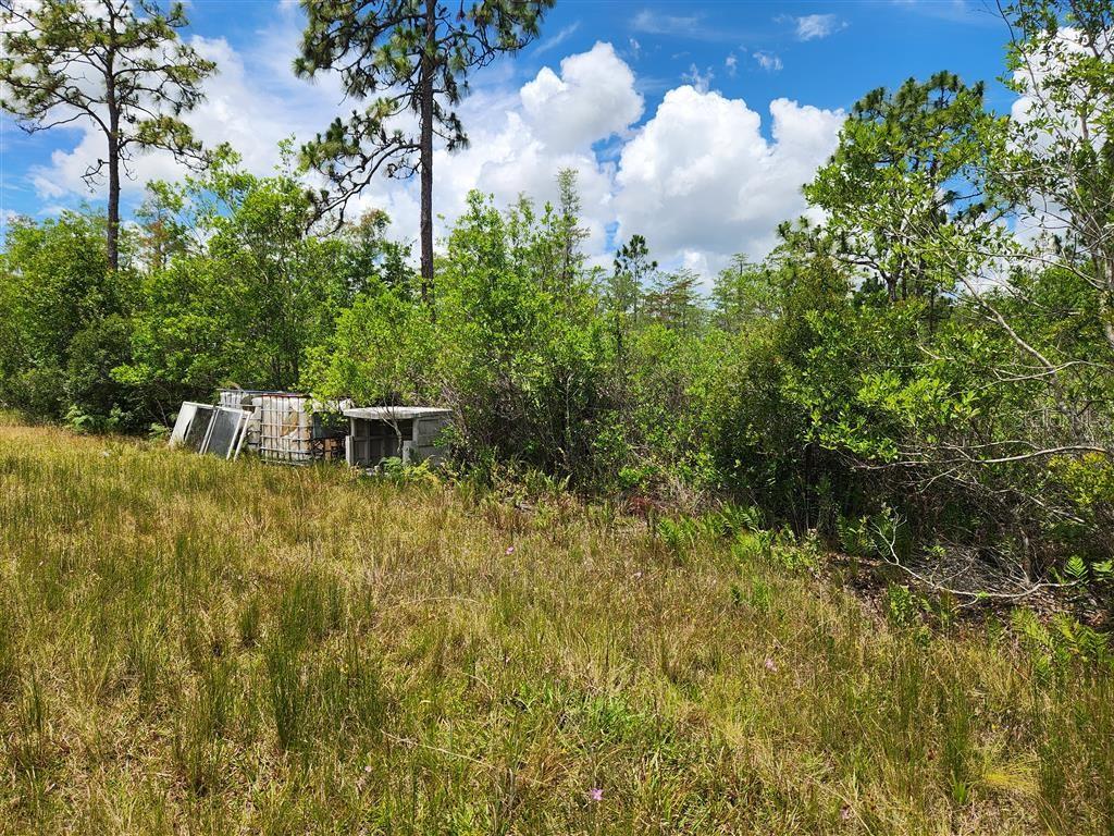 Holopaw Groves Rd Property Photo 27