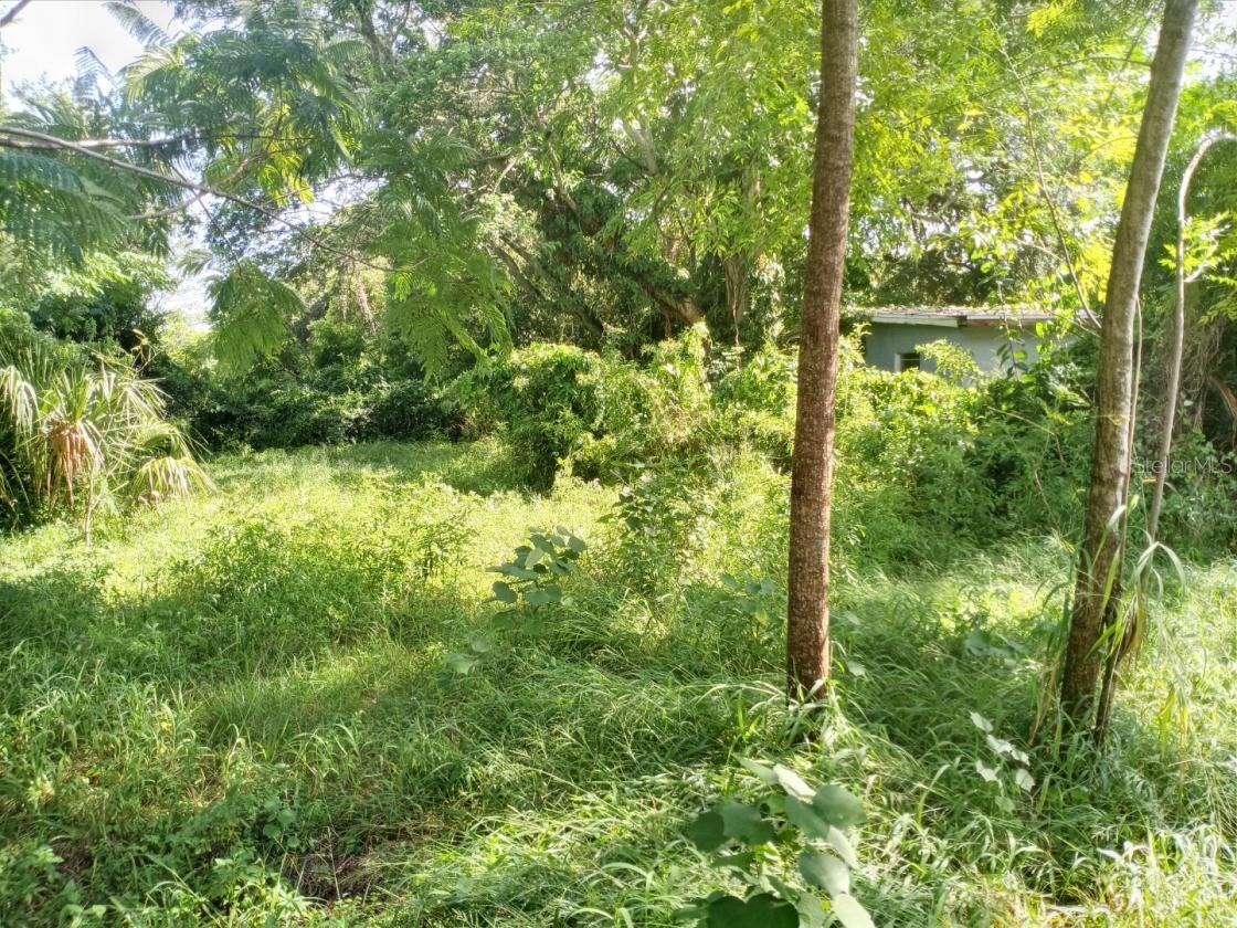 4022 Shellman St Property Photo 17