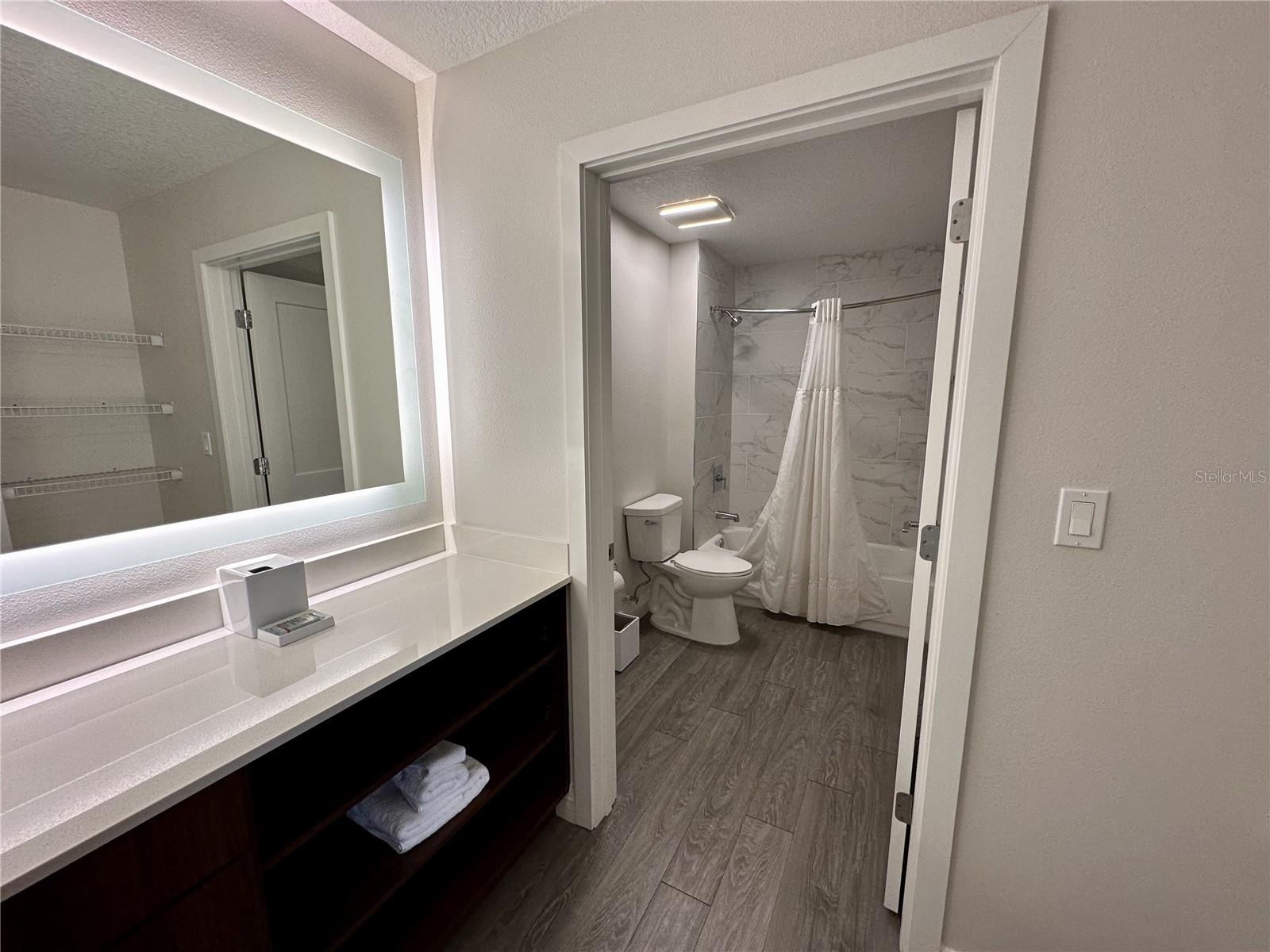 14501 Grove Resort Ave #2541 Property Photo 6
