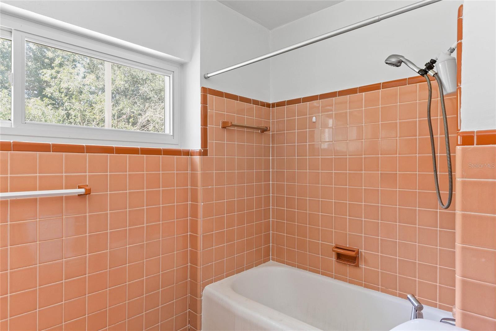 3911 Finch Street Property Photo 18
