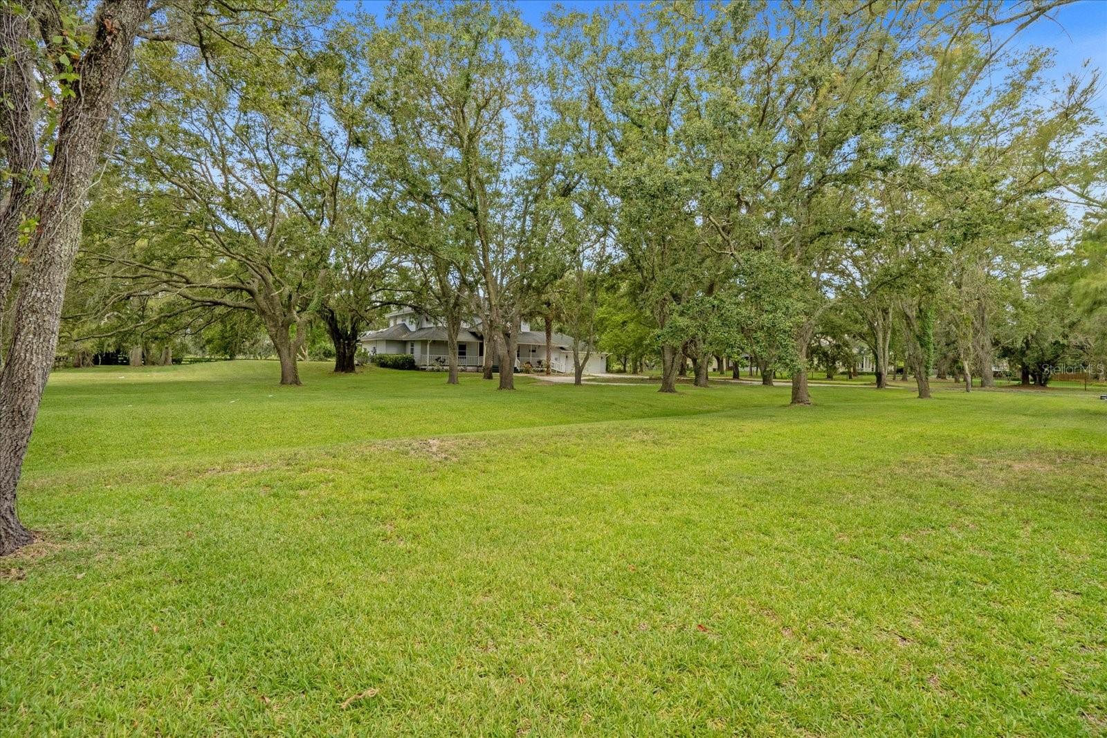 7280 Hawkins Road Property Photo 41