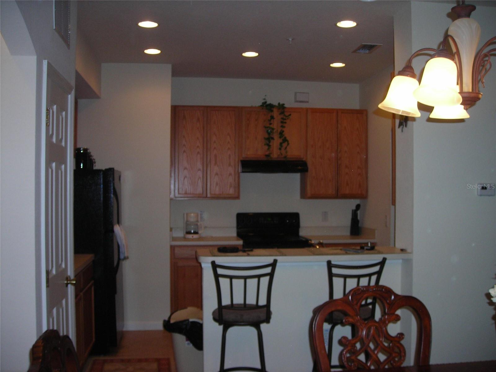 13848 Dove Wing Court Property Photo 3