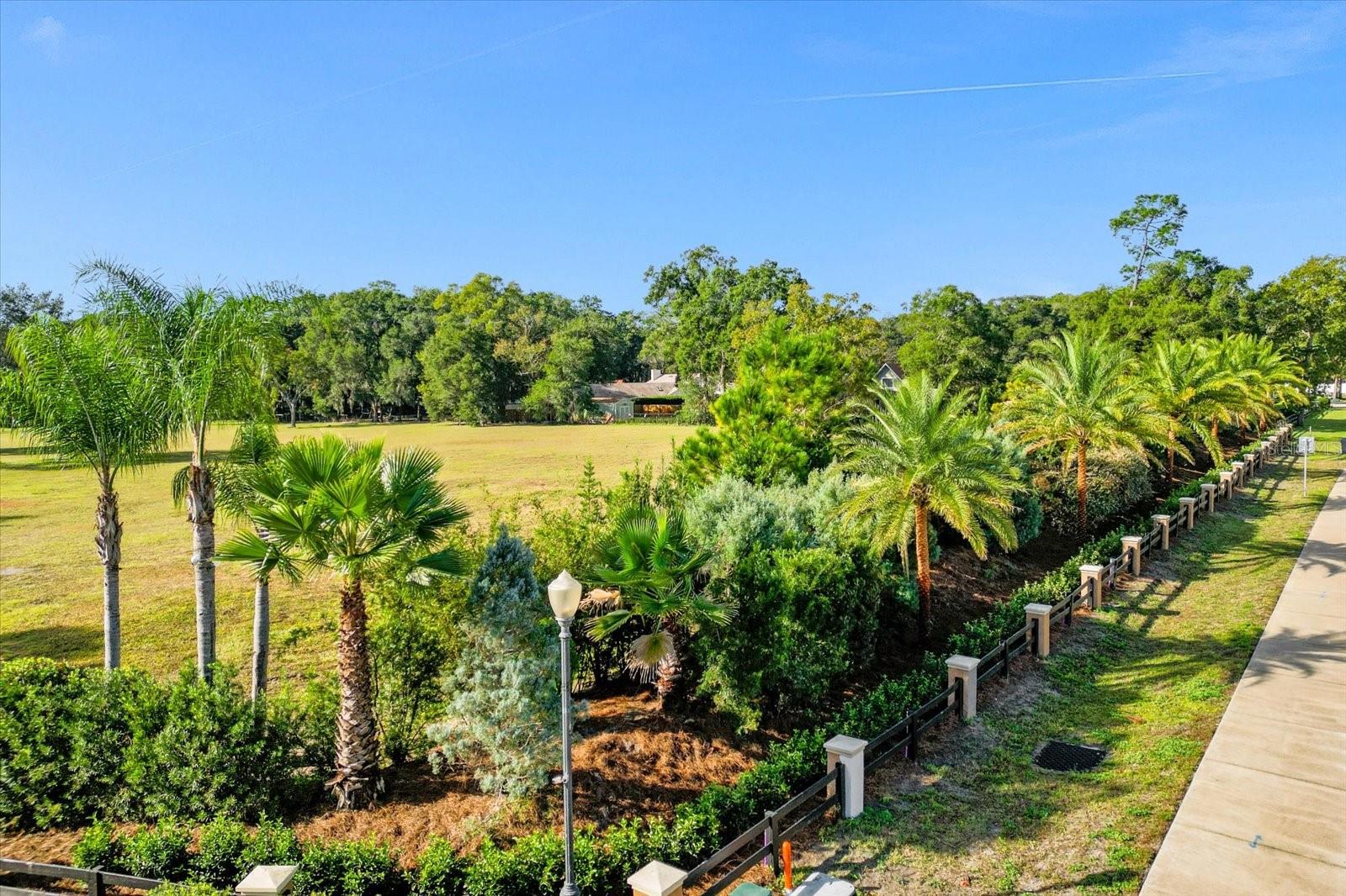 314 Gravina Pt Property Photo 7