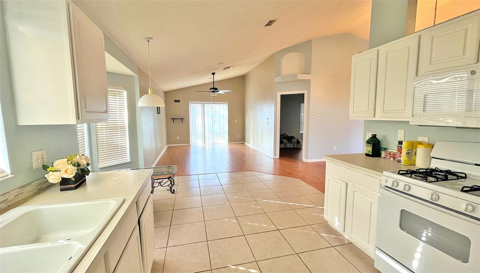 113 Cello St Property Photo 5