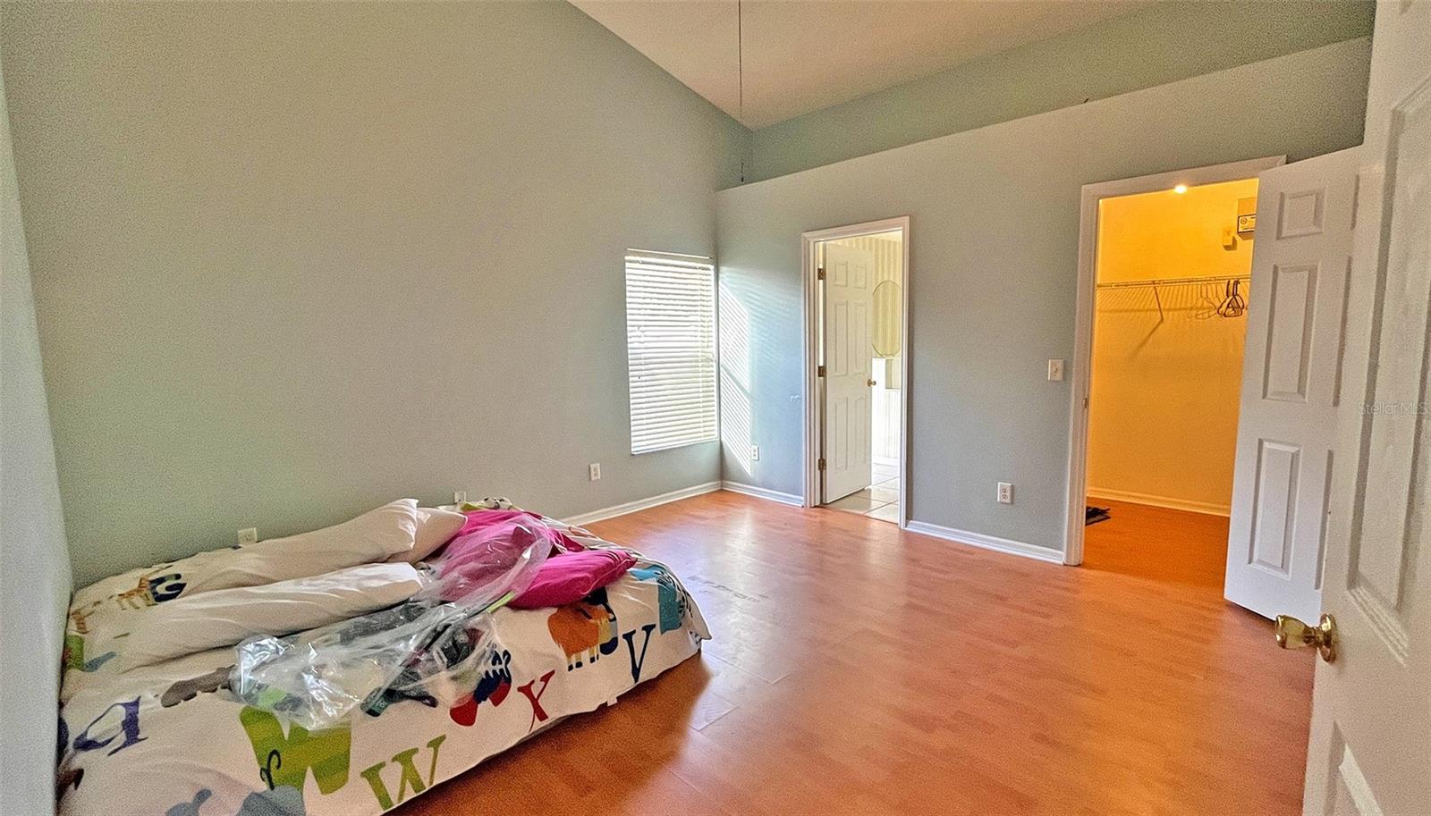 113 Cello St Property Photo 11