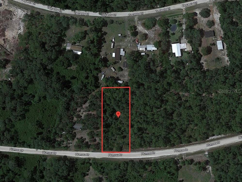 224 Plumosa Dr Property Photo 2