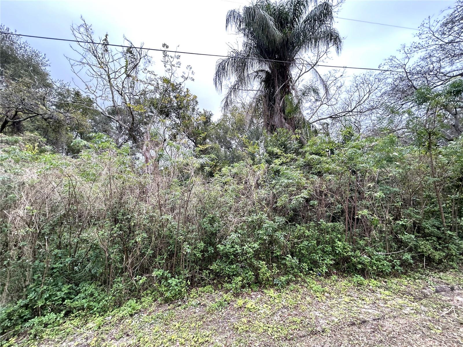 Bell Blvd Property Photo 7