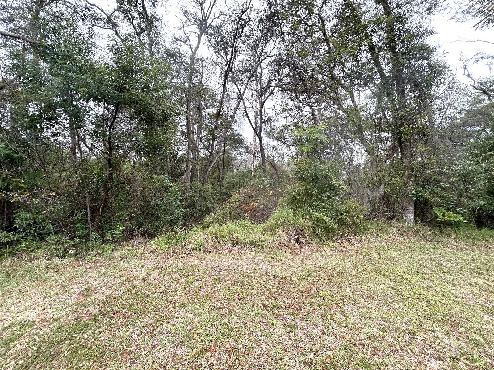 Bell Blvd Property Photo 8