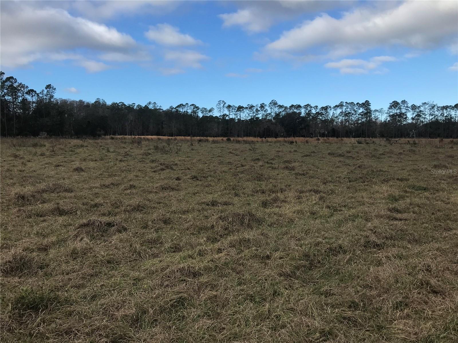 1325 Fort Christmas Rd Property Photo 1