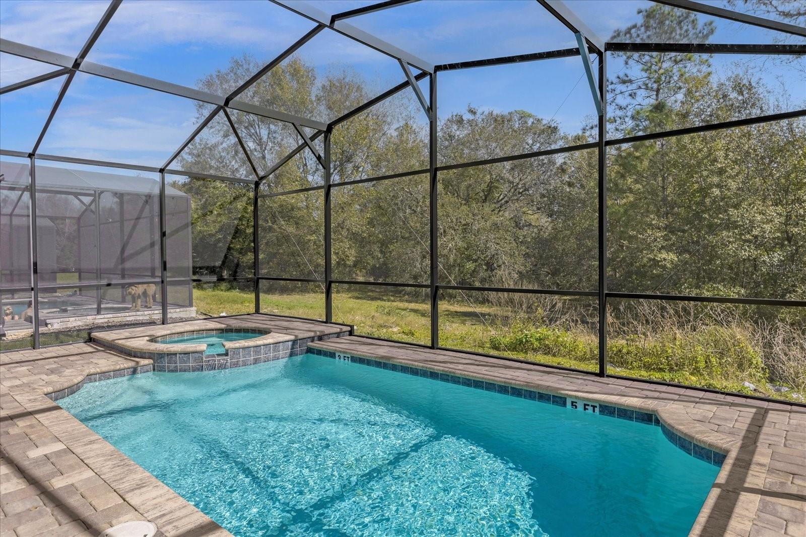 1909 Tropical Palms Cir Property Photo 44
