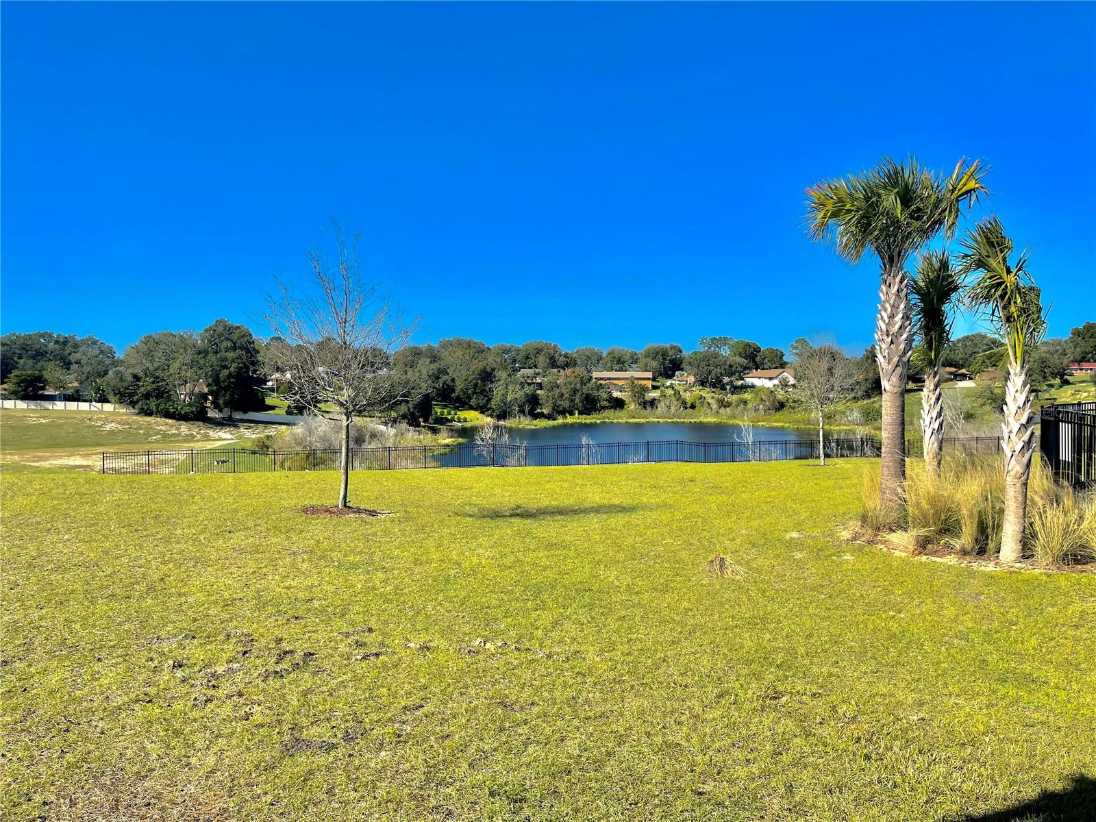 1262 Tagliamento Ln Property Photo 35