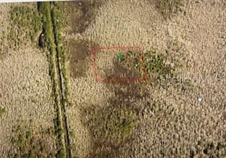 Na Property Photo 4