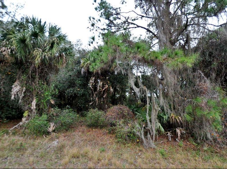 Constitution Dr Property Photo 2