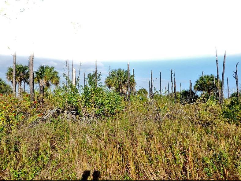 Devonia Cir Property Photo 2