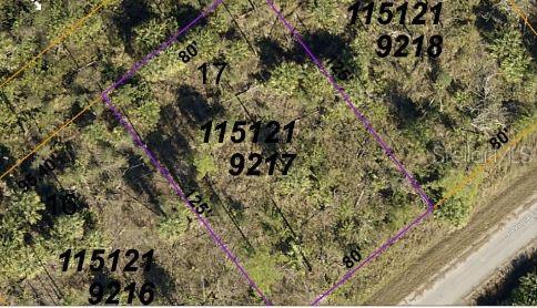 Devonia Cir Property Photo 3