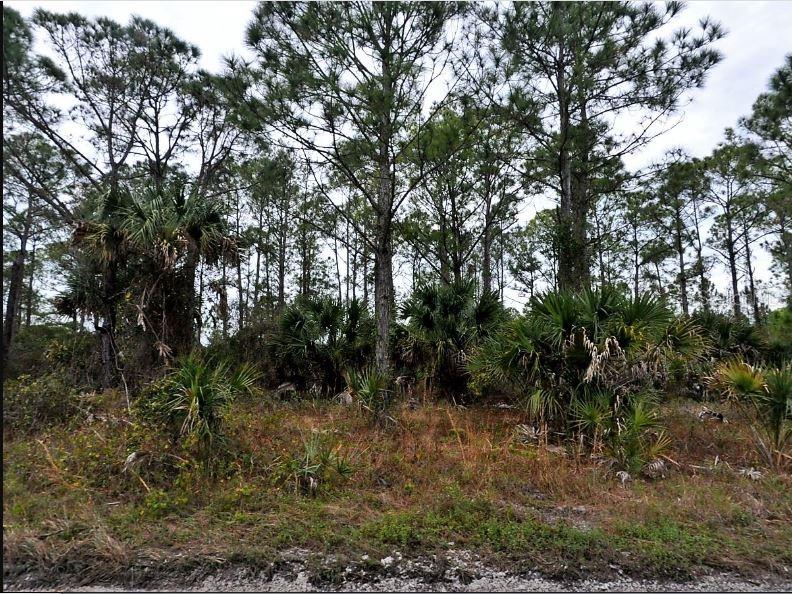Langlais Dr Property Photo 2