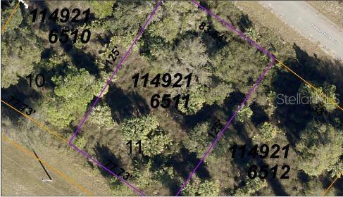 Hampshire Cir Property Photo 5