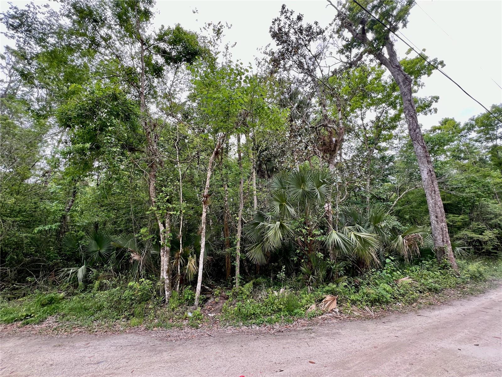 0 Patricia Trl Property Photo 1