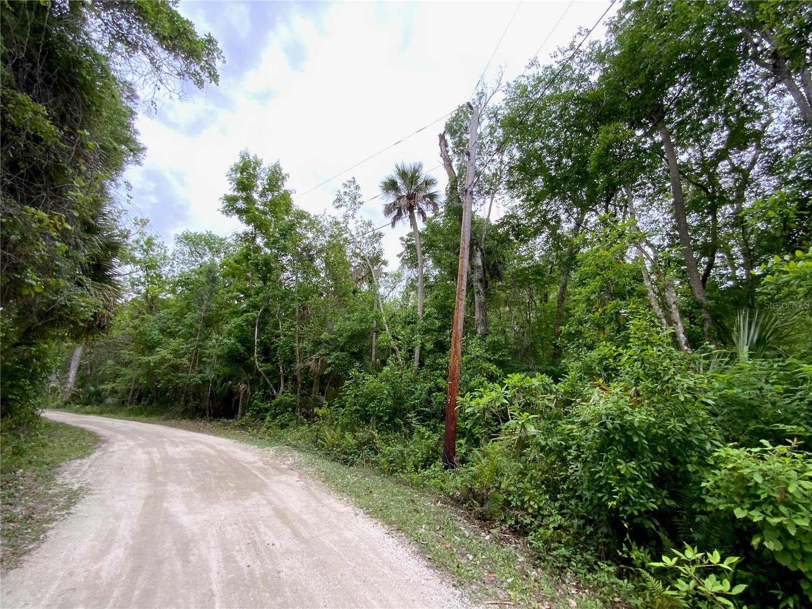 0 Patricia Trl Property Photo 2