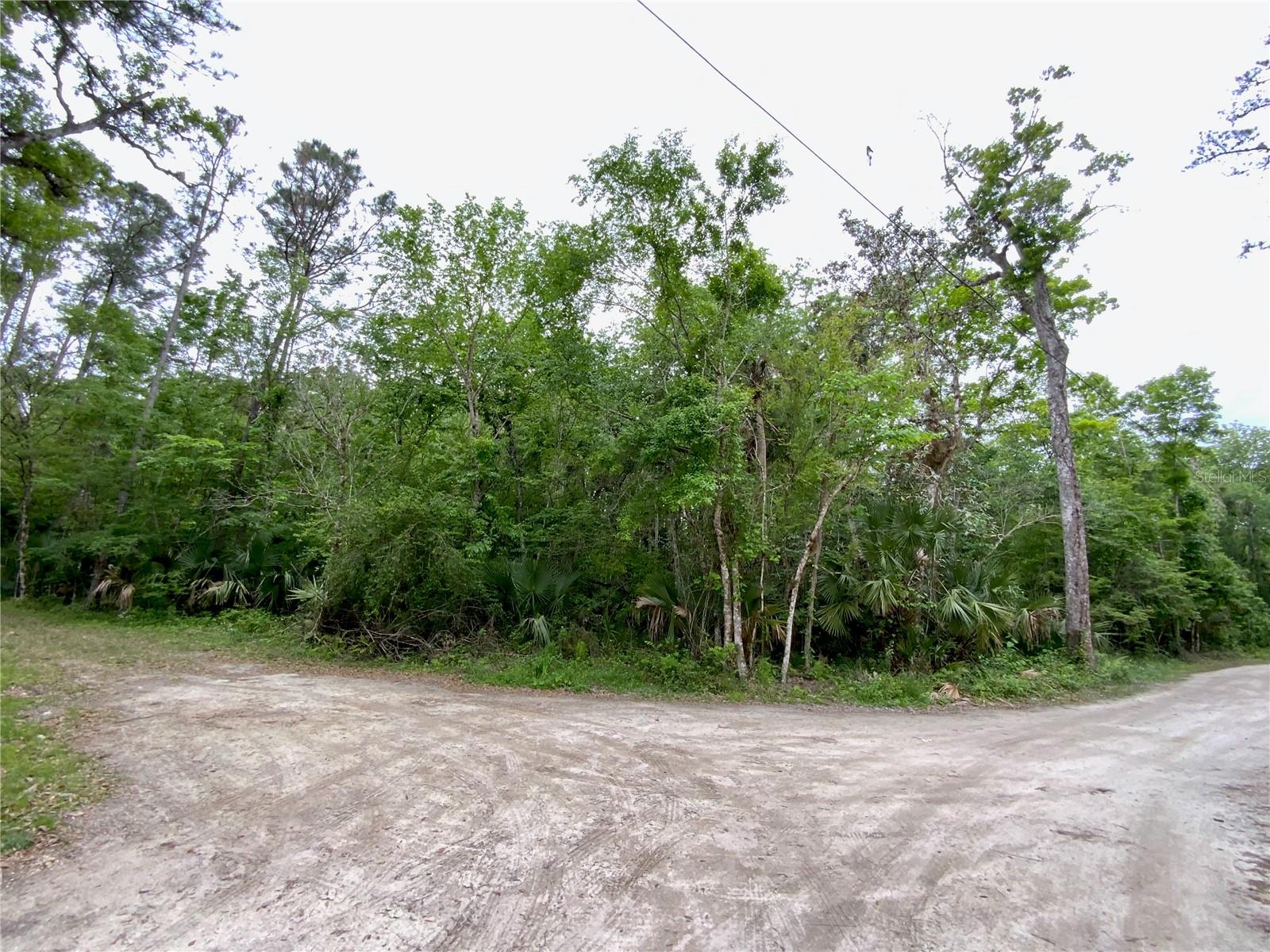 0 Patricia Trl Property Photo 3