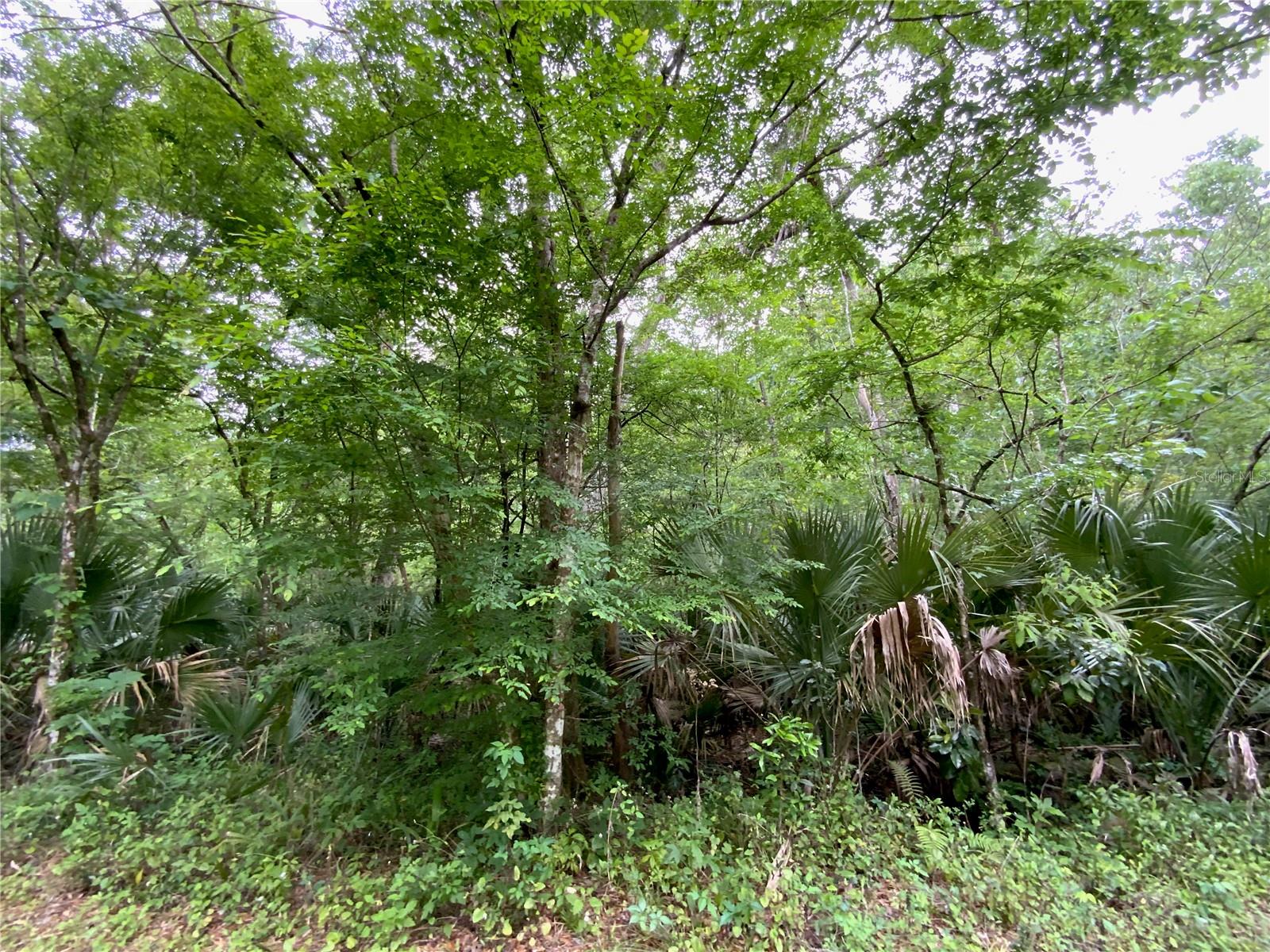 0 Patricia Trl Property Photo 6