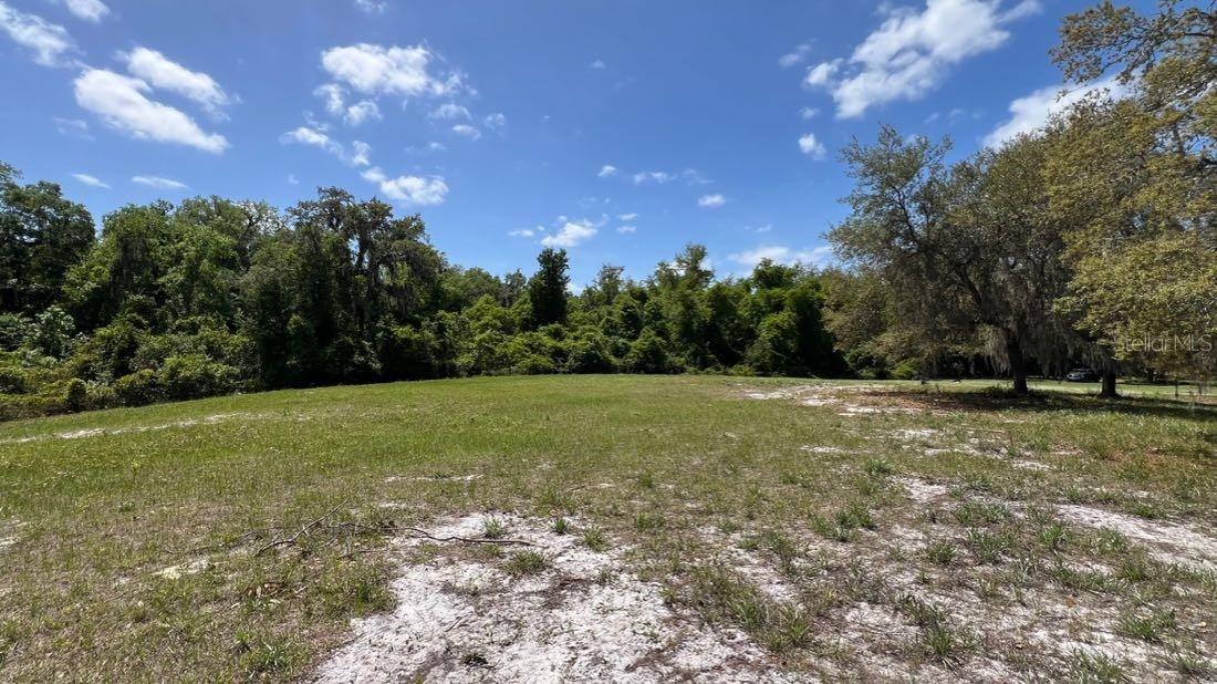 445 Van Arsdale St Property Photo 4