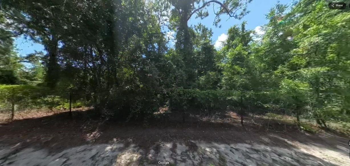 Forge Drive Property Photo 3