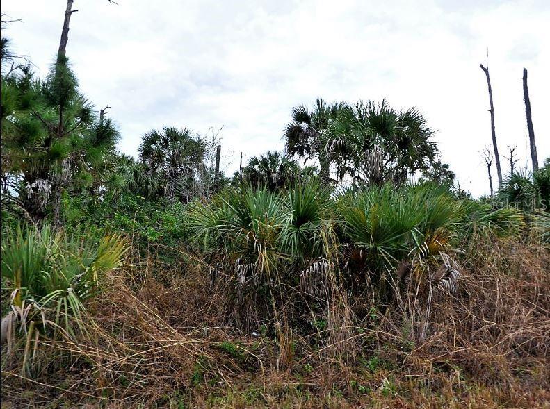 Pimento Cir Property Photo 2