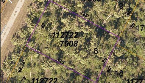 Pimento Cir Property Photo 3