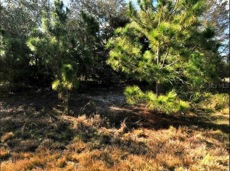 Hope Ct Property Photo 2