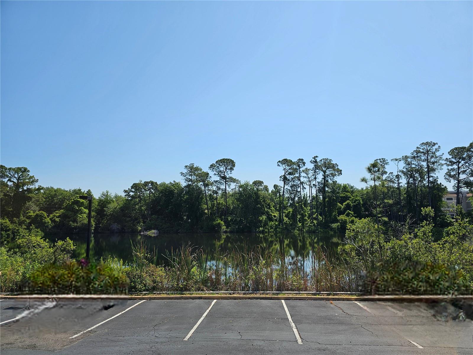 75 Fox Ridge Ct. #f Property Photo 14
