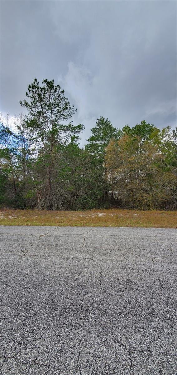 1428 Hillsborough Dr Property Photo 1