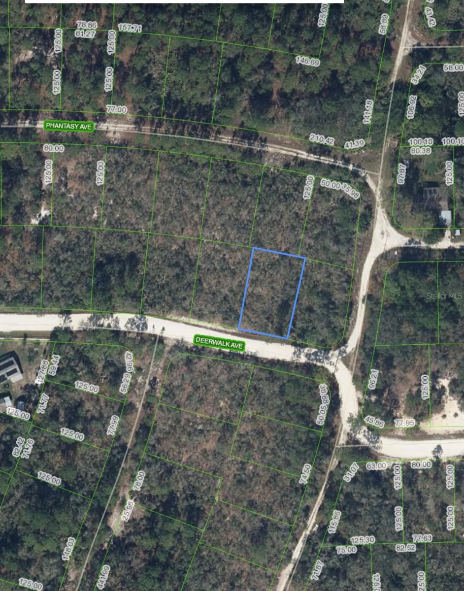 284 Deerwalk Ave Property Photo 3