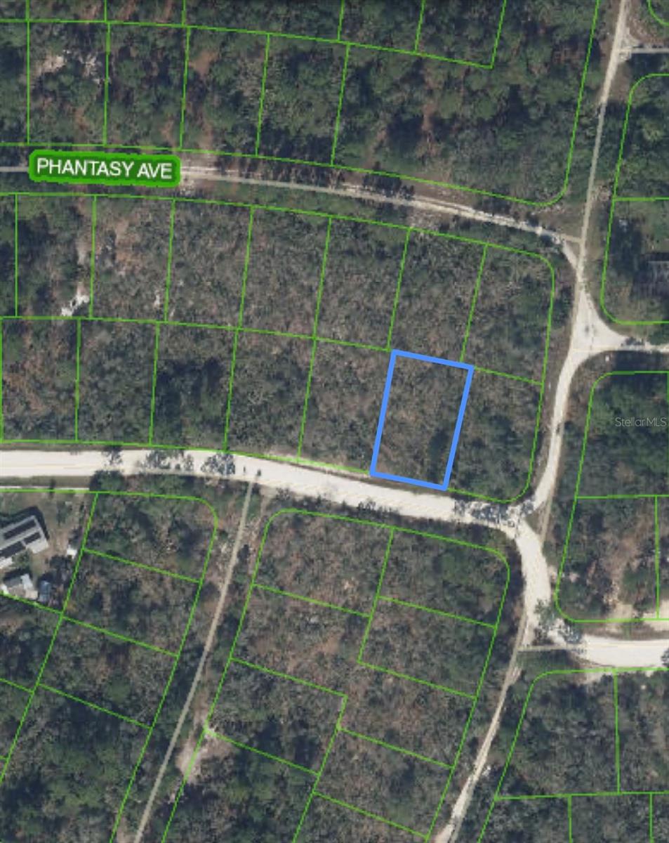 284 Deerwalk Ave Property Photo 4
