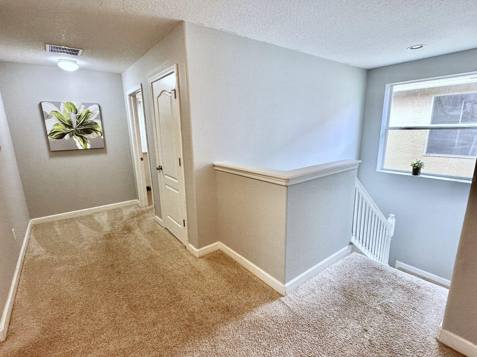 8848 Candy Palm Rd Property Photo 5