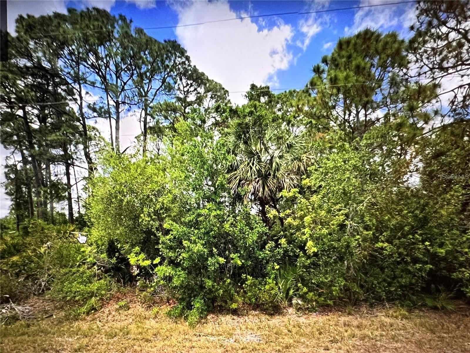 18106 Sicily Ave Property Photo 4