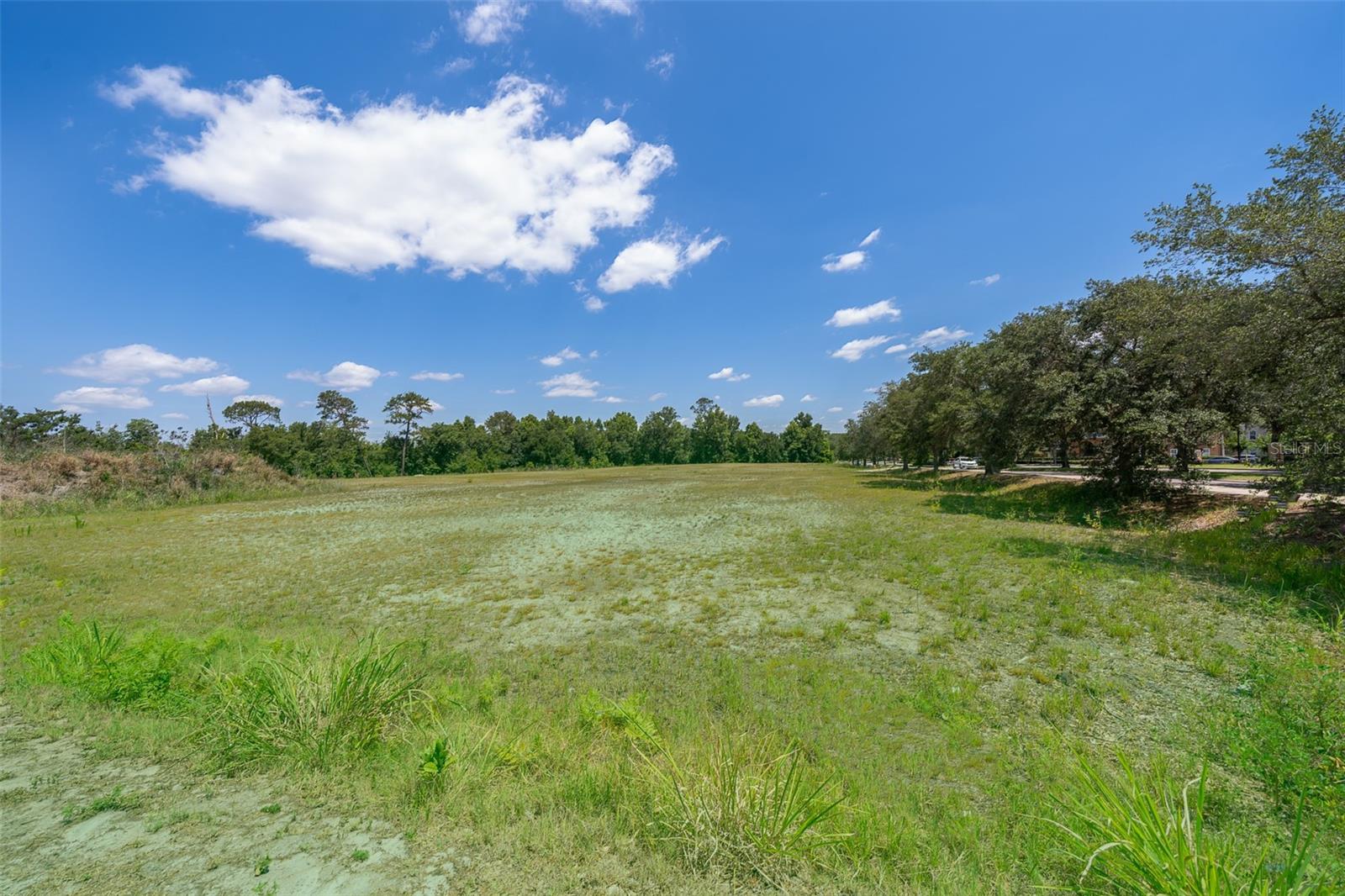 Oviedo Blvd Property Photo 6