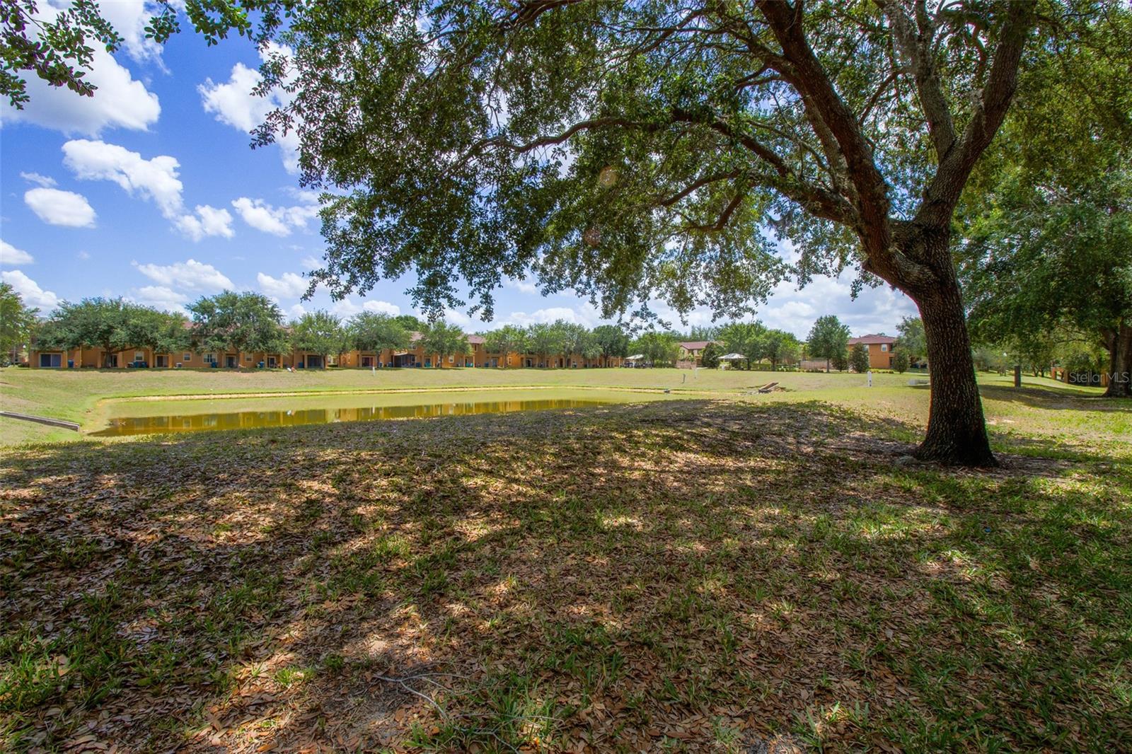 244 Capri Dr Property Photo 21