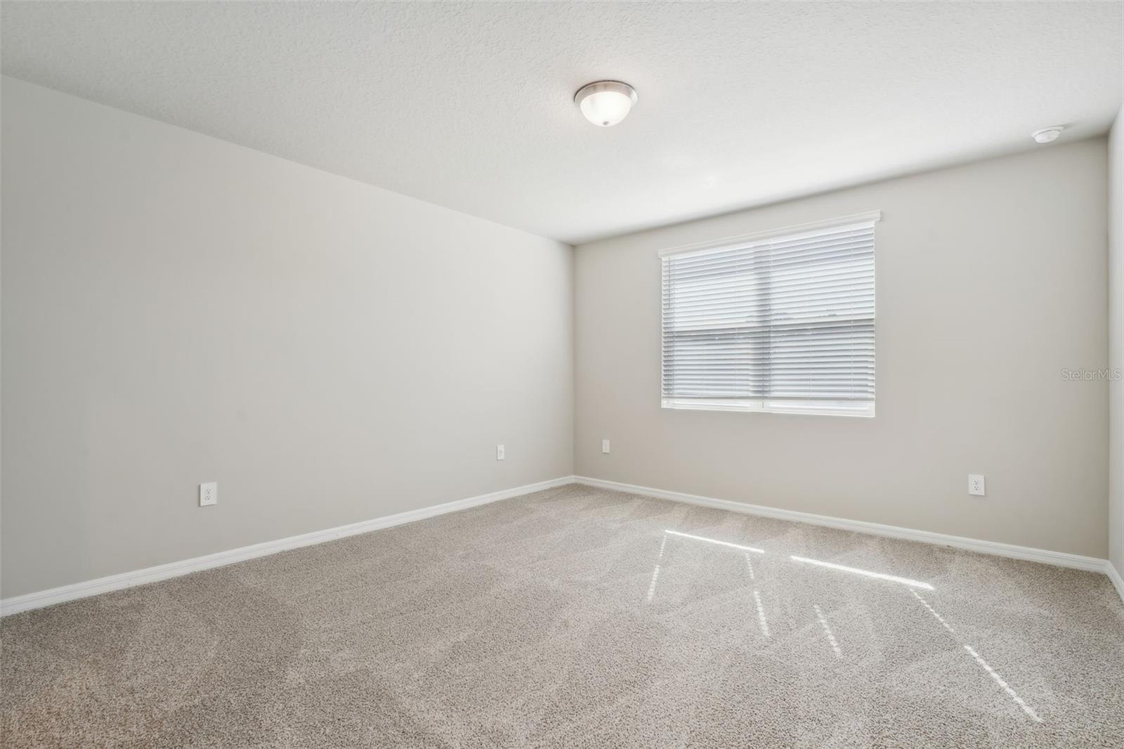1713 Forest Run Ln Property Photo 29