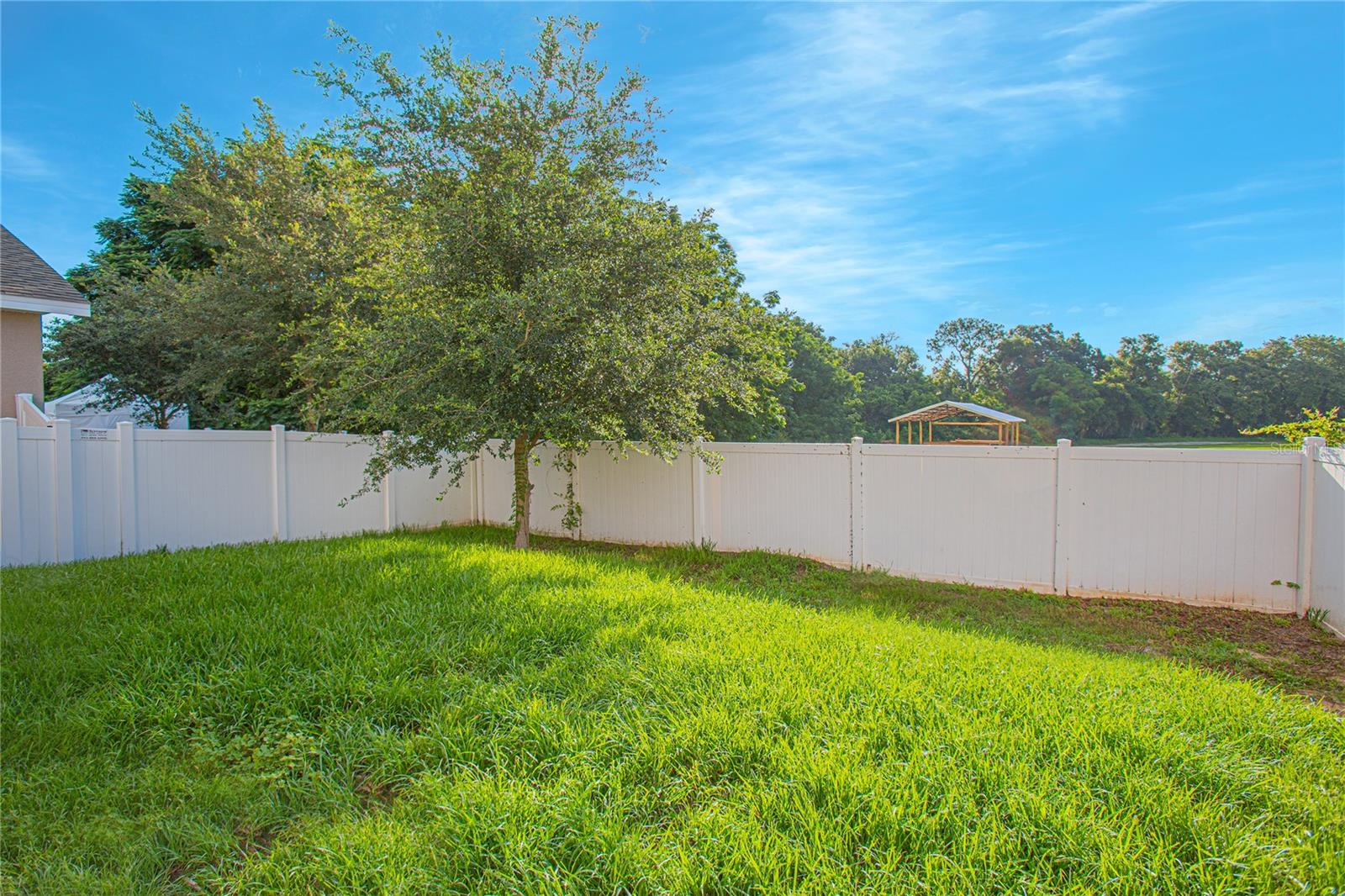 1146 Atlantic Ave Property Photo 5