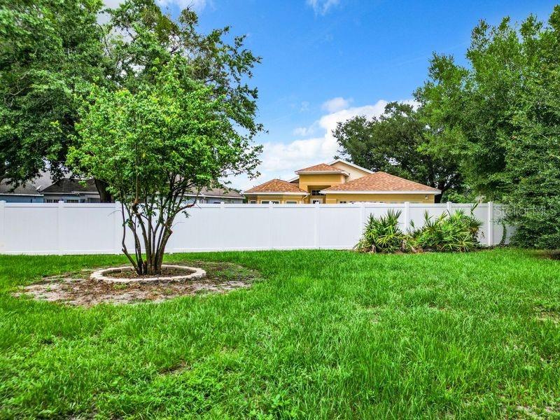 428 Short Pine Cir Property Photo 45