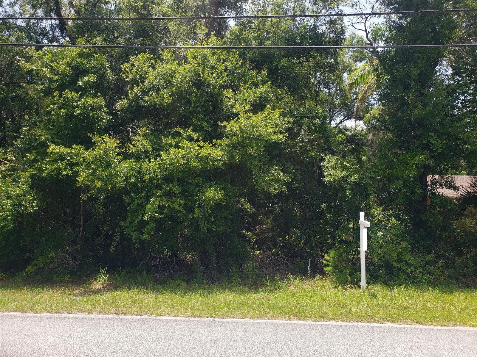 Reynolds Rd Property Photo 3