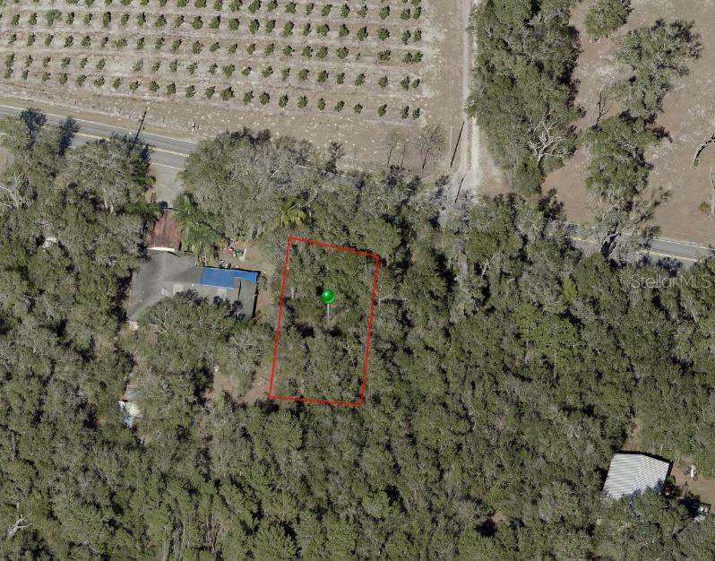 Reynolds Rd Property Photo 7
