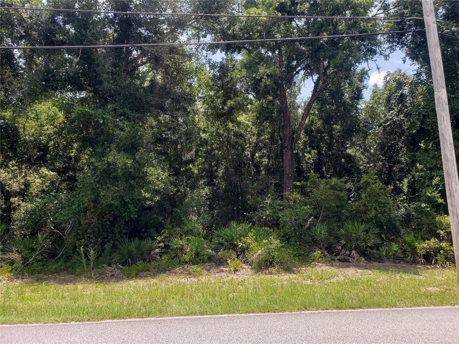 Reynolds Rd Property Photo 2